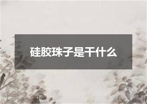 硅胶珠子是干什么