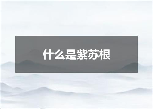 什么是紫苏根