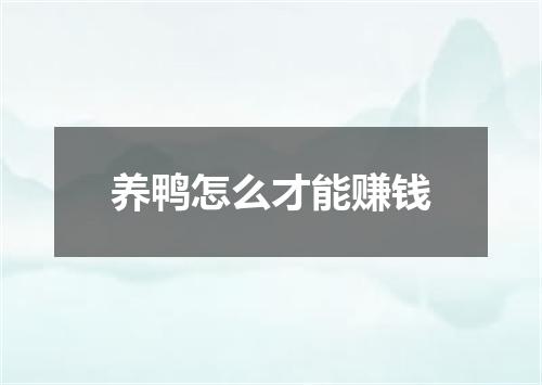 养鸭怎么才能赚钱