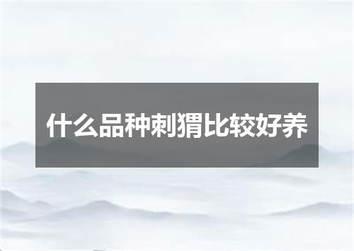 什么品种刺猬比较好养