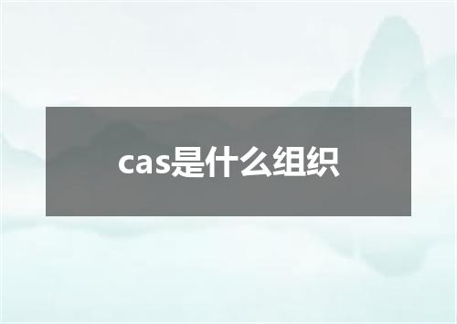 cas是什么组织