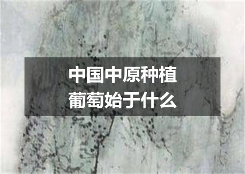 中国中原种植葡萄始于什么