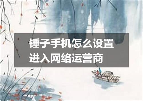 锤子手机怎么设置进入网络运营商