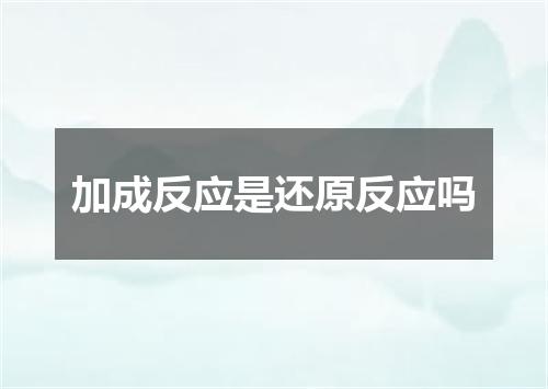 加成反应是还原反应吗