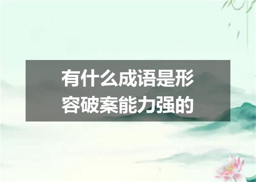 有什么成语是形容破案能力强的