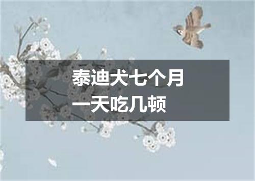 泰迪犬七个月一天吃几顿