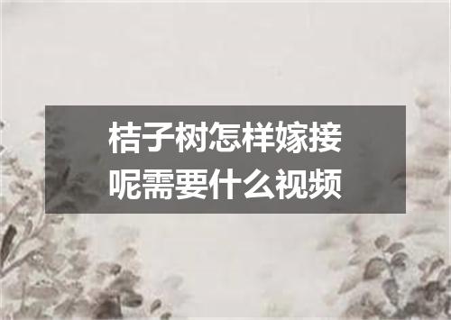 桔子树怎样嫁接呢需要什么视频