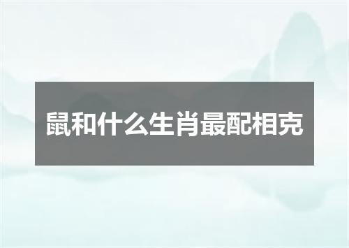 鼠和什么生肖最配相克