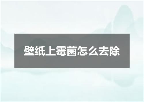 壁纸上霉菌怎么去除