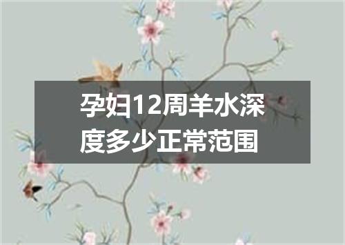 孕妇12周羊水深度多少正常范围