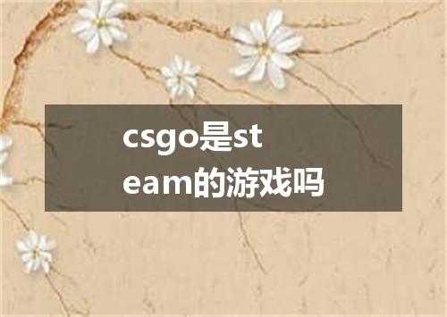csgo是steam的游戏吗