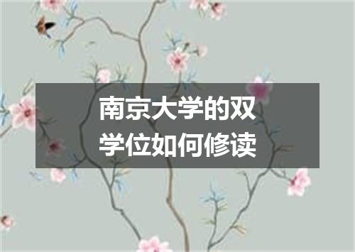 南京大学的双学位如何修读