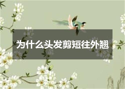 为什么头发剪短往外翘