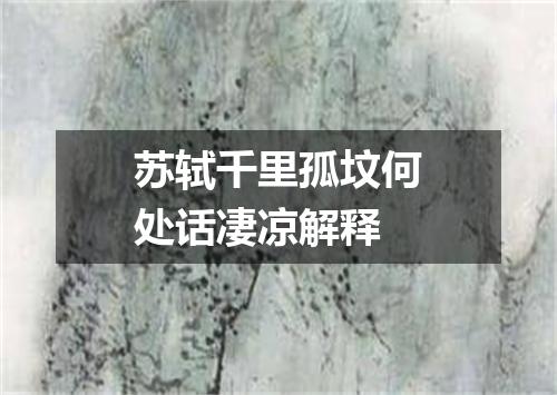 苏轼千里孤坟何处话凄凉解释