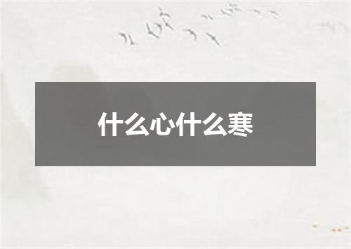 什么心什么寒