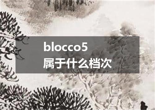 blocco5属于什么档次