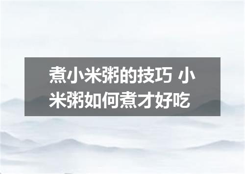 煮小米粥的技巧 小米粥如何煮才好吃