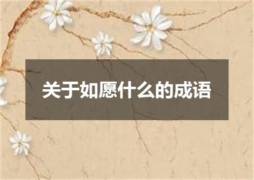 关于如愿什么的成语