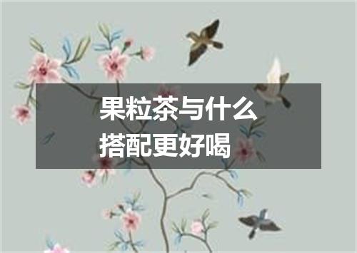 果粒茶与什么搭配更好喝
