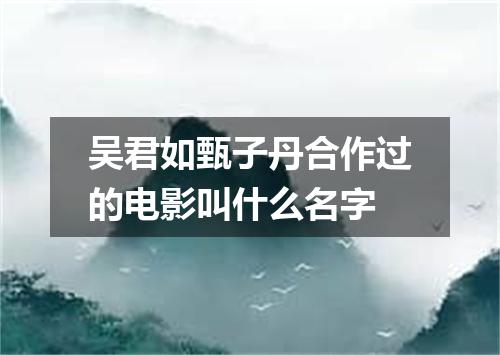 吴君如甄子丹合作过的电影叫什么名字