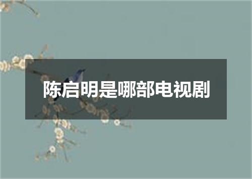 陈启明是哪部电视剧