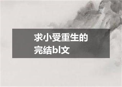 求小受重生的完结bl文