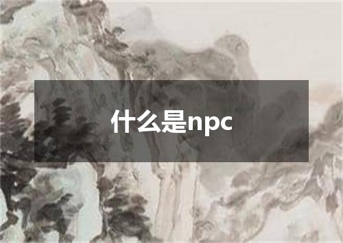 什么是npc
