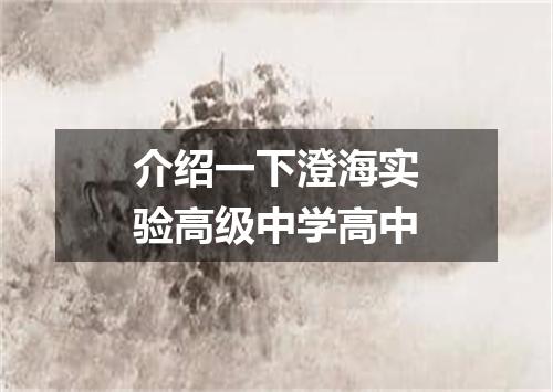 介绍一下澄海实验高级中学高中