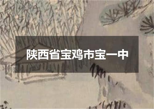 陕西省宝鸡市宝一中