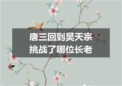 唐三回到昊天宗挑战了哪位长老