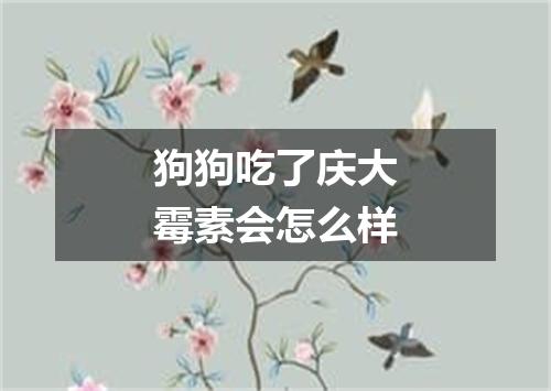 狗狗吃了庆大霉素会怎么样