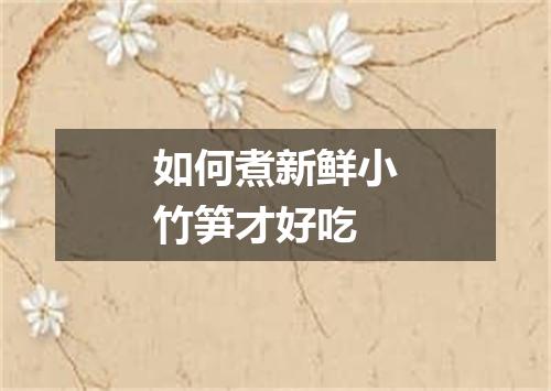 如何煮新鲜小竹笋才好吃