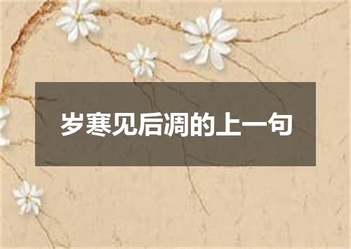 岁寒见后凋的上一句