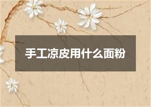 手工凉皮用什么面粉