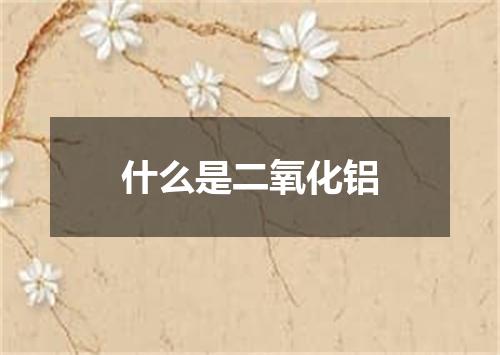 什么是二氧化铝