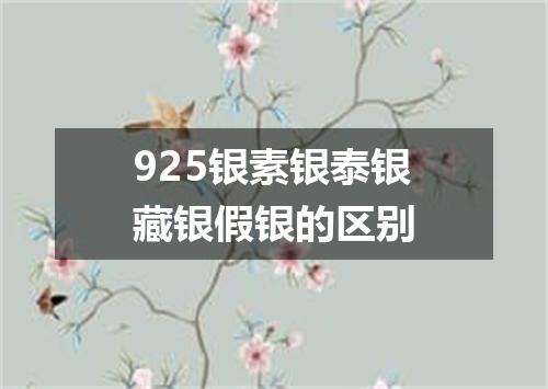 925银素银泰银藏银假银的区别