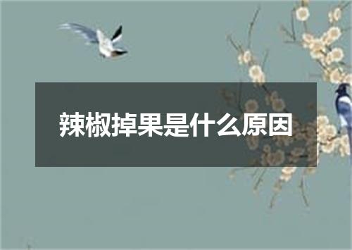 辣椒掉果是什么原因