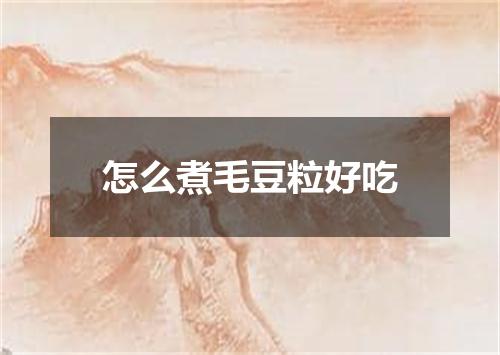 怎么煮毛豆粒好吃