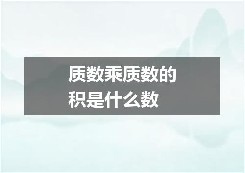 质数乘质数的积是什么数