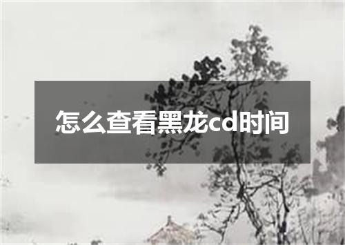怎么查看黑龙cd时间