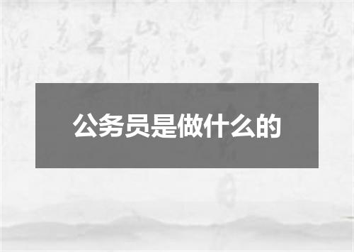 公务员是做什么的
