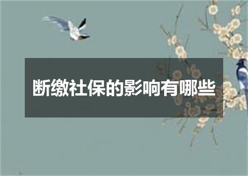 断缴社保的影响有哪些