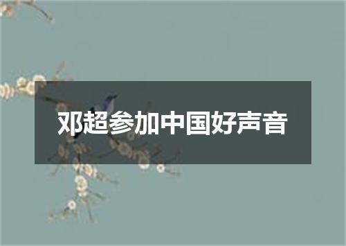邓超参加中国好声音