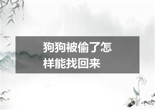 狗狗被偷了怎样能找回来