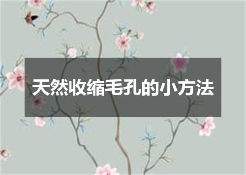 天然收缩毛孔的小方法