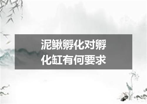 泥鳅孵化对孵化缸有何要求