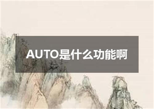 AUTO是什么功能啊