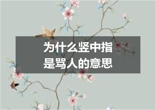 为什么竖中指是骂人的意思