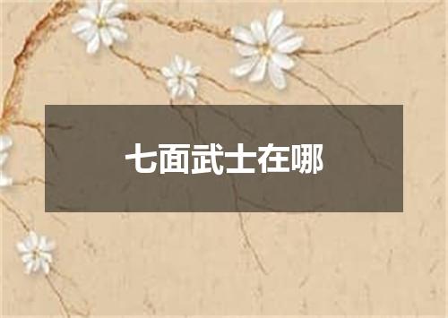 七面武士在哪