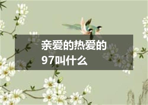 亲爱的热爱的97叫什么